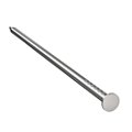 Flat Head Spikes image